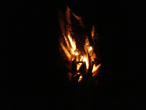 Camp-fire - Tábortűz