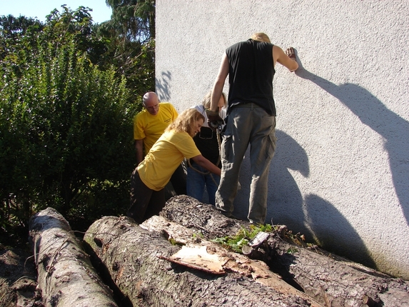 Men at work - Munka közben