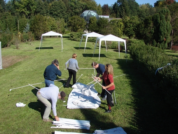 Preparations - Előkészületek